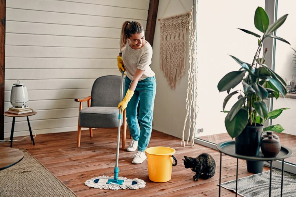 A Complete Guide Best Home Cleaners For Every Surface