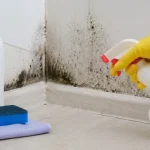 Quick and Easy Mould Removal Hacks You Need to Try